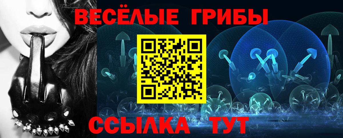 Галлюциногенные грибы ЛСД Шуя